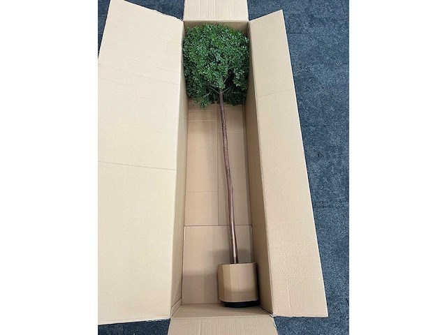 2x kunst buxus boom h150 - ongebruikt - afbeelding 9 van  10