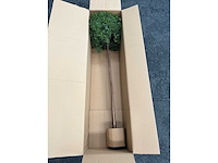 2x kunst buxus boom h150 - ongebruikt - afbeelding 9 van  10