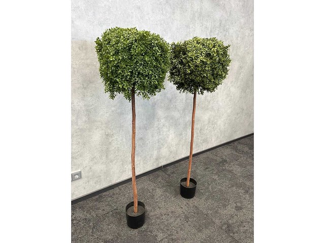 2x kunst buxus boom h150 - ongebruikt - afbeelding 4 van  11