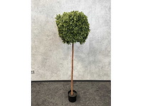 2x kunst buxus boom h150 - ongebruikt - afbeelding 5 van  11