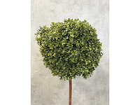 2x kunst buxus boom h150 - ongebruikt - afbeelding 6 van  11