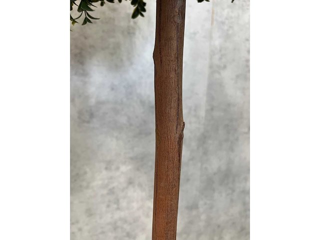 2x kunst buxus boom h150 - ongebruikt - afbeelding 7 van  11