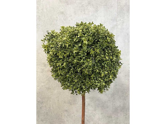 2x kunst buxus boom h150 - ongebruikt - afbeelding 6 van  11