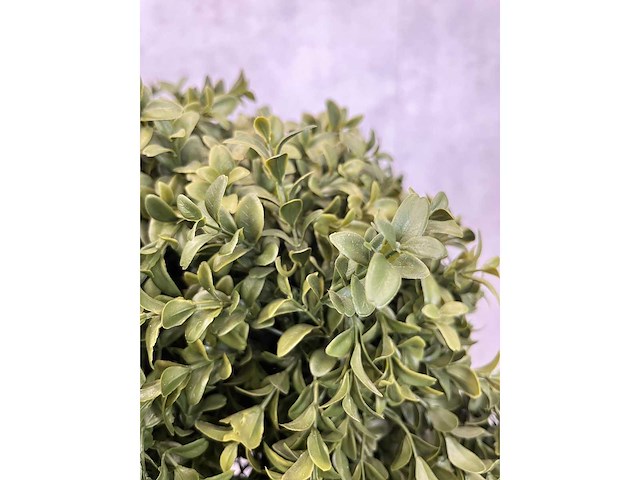 2x kunst buxus boom h150 - ongebruikt - afbeelding 9 van  11