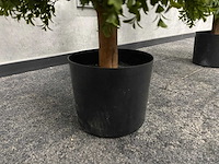 2x kunst buxus op stam h75 ongebruikt - afbeelding 4 van  15