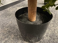 2x kunst buxus op stam h75 ongebruikt - afbeelding 5 van  15