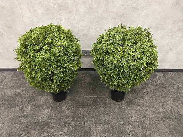 2x kunst buxus op stam h75 ongebruikt - afbeelding 14 van  15
