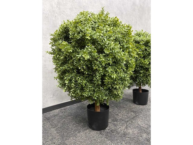 2x kunst buxus op stam h75 ongebruikt - afbeelding 9 van  15