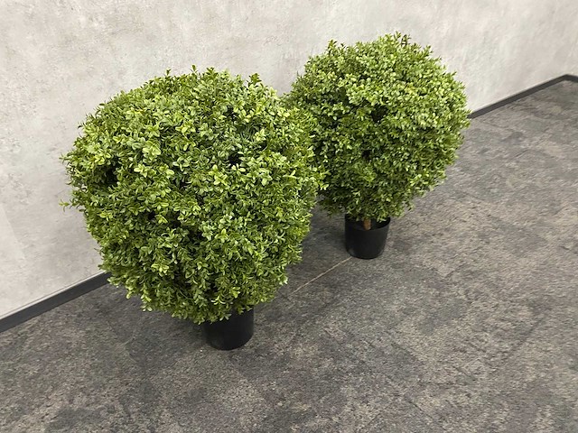 2x kunst buxus op stam h75 ongebruikt - afbeelding 2 van  15