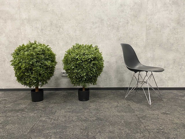 2x kunst buxus op stam h75 ongebruikt - afbeelding 1 van  15