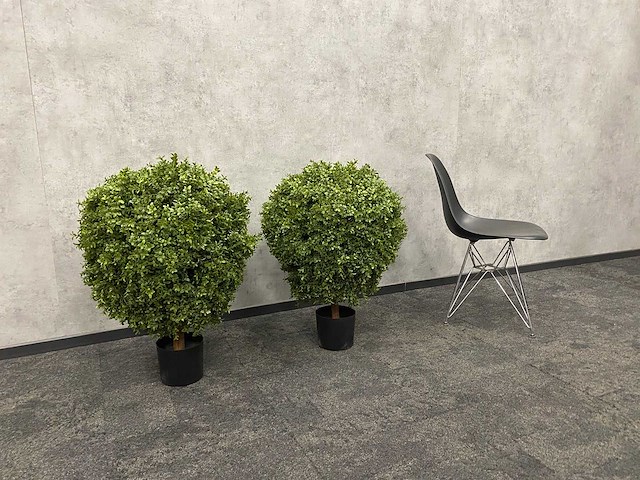 2x kunst buxus op stam h75 ongebruikt - afbeelding 10 van  15