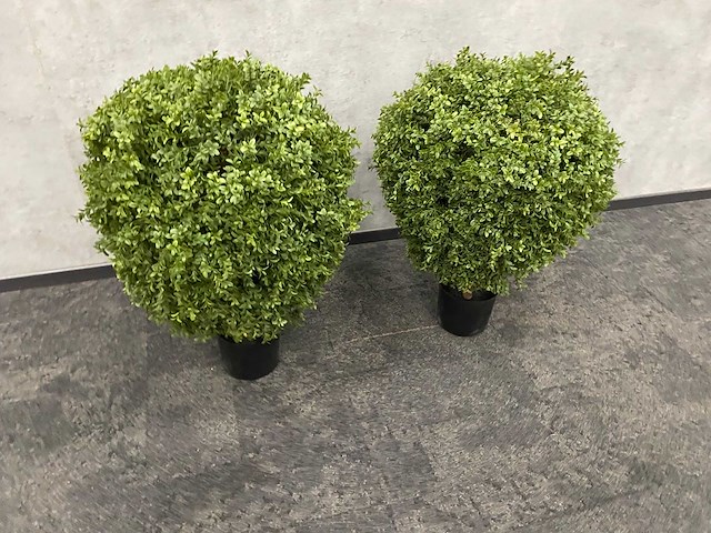 2x kunst buxus op stam h75 ongebruikt - afbeelding 15 van  15