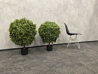2x kunst buxus op stam h75 ongebruikt - afbeelding 11 van  15