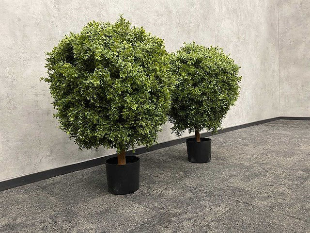 2x kunst buxus op stam h75 ongebruikt - afbeelding 3 van  15