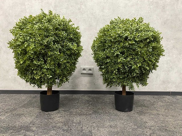 2x kunst buxus op stam h75 ongebruikt - afbeelding 8 van  15
