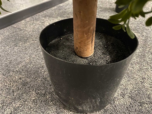 2x kunst buxus op stam h75 ongebruikt - afbeelding 5 van  15