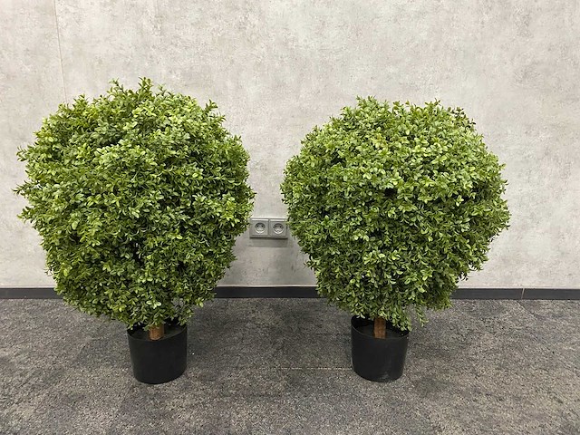 2x kunst buxus op stam h75 ongebruikt - afbeelding 13 van  15