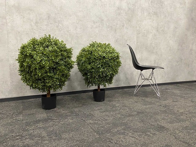 2x kunst buxus op stam h75 ongebruikt - afbeelding 11 van  15