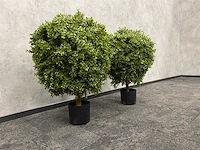 2x kunst buxus op stam h75 ongebruikt - afbeelding 3 van  15