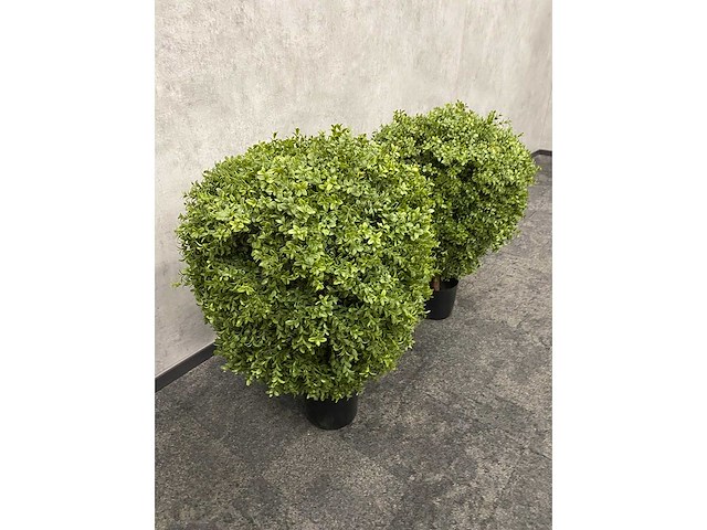 2x kunst buxus op stam h75 ongebruikt - afbeelding 6 van  15