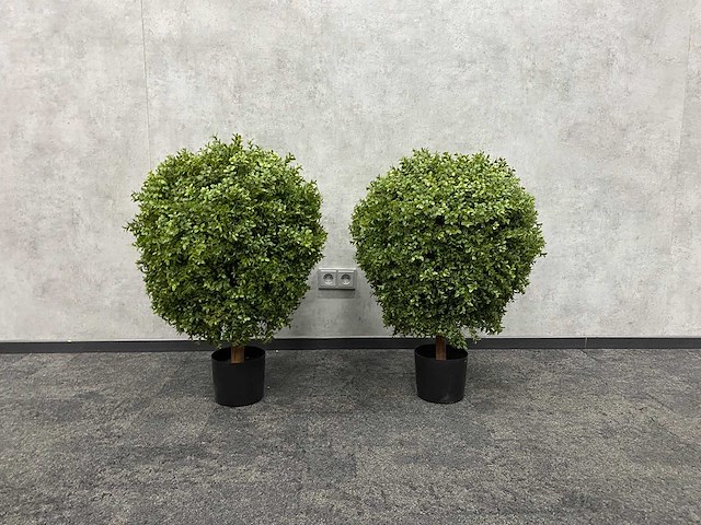 2x kunst buxus op stam h75 ongebruikt - afbeelding 12 van  15