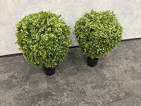 2x kunst buxus op stam h75 ongebruikt - afbeelding 15 van  15