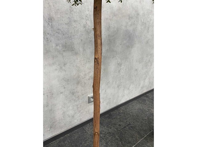 2x kunst buxusboom h150 ongebruikt - afbeelding 3 van  12