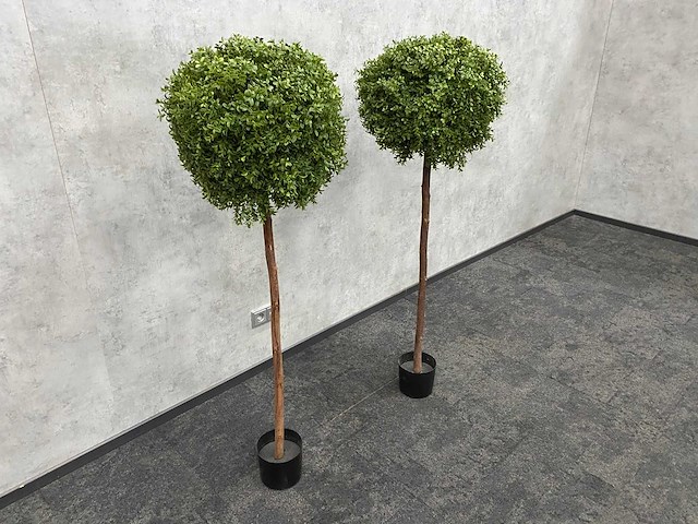 2x kunst buxusboom h150 ongebruikt - afbeelding 6 van  12