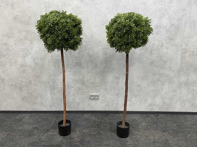 2x kunst buxusboom h150 ongebruikt - afbeelding 8 van  12