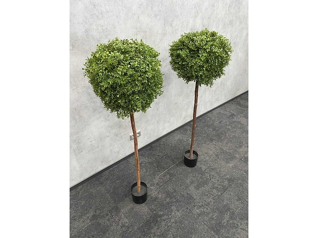 2x kunst buxusboom h150 ongebruikt - afbeelding 10 van  12