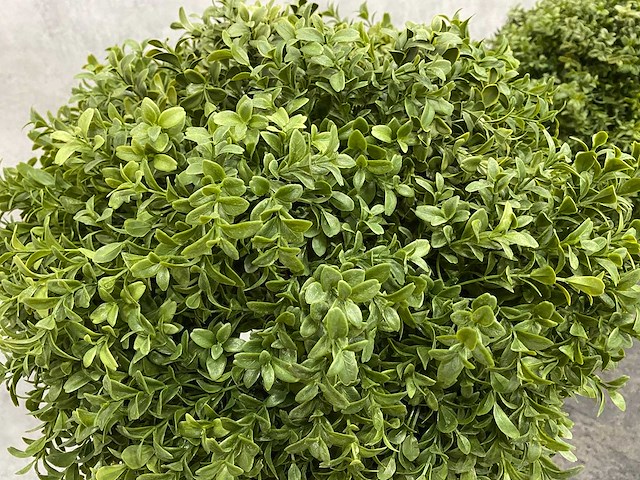 2x kunst buxusboom h150 ongebruikt - afbeelding 12 van  12