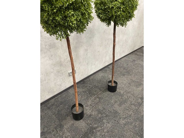 2x kunst buxusboom h150 ongebruikt - afbeelding 2 van  12