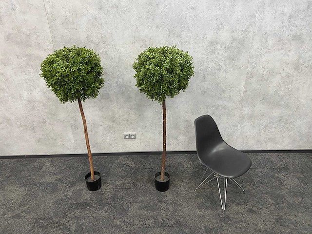 2x kunst buxusboom h150 ongebruikt - afbeelding 5 van  12