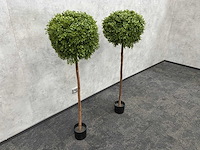 2x kunst buxusboom h150 ongebruikt - afbeelding 6 van  12