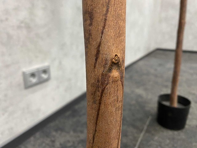 2x kunst buxusboom h150 ongebruikt - afbeelding 7 van  12