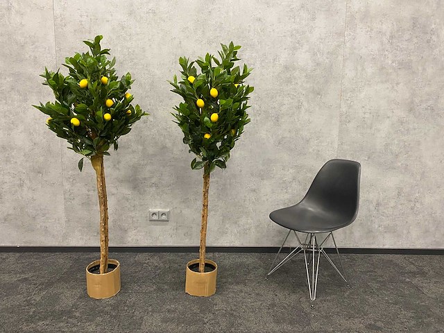 2x kunst citroenboom - ongebruikt - h145 - afbeelding 10 van  12