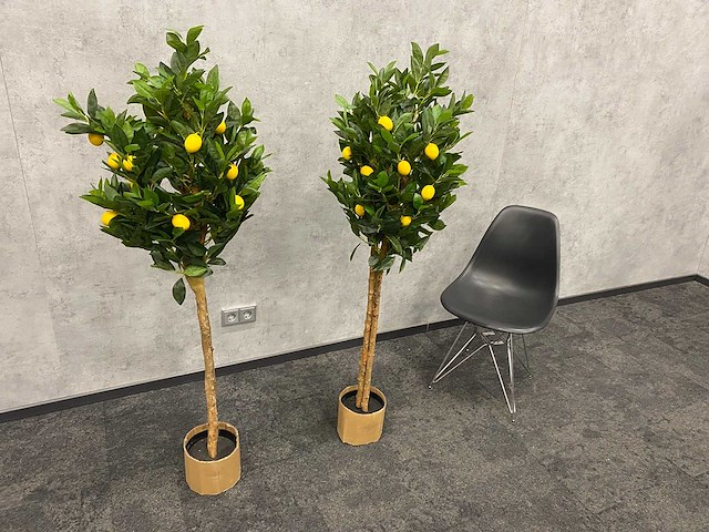 2x kunst citroenboom - ongebruikt - h145 - afbeelding 8 van  15