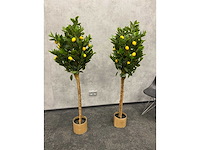 2x kunst citroenboom - ongebruikt - h145 - afbeelding 2 van  3