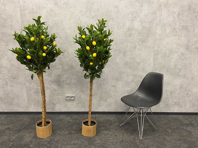 2x kunst citroenboom - ongebruikt - h145 - afbeelding 1 van  15