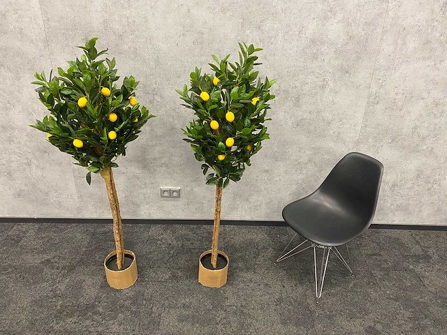 2x kunst citroenboom - ongebruikt - h145 - afbeelding 13 van  15