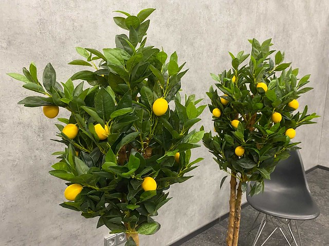 2x kunst citroenboom - ongebruikt - h145 - afbeelding 15 van  15