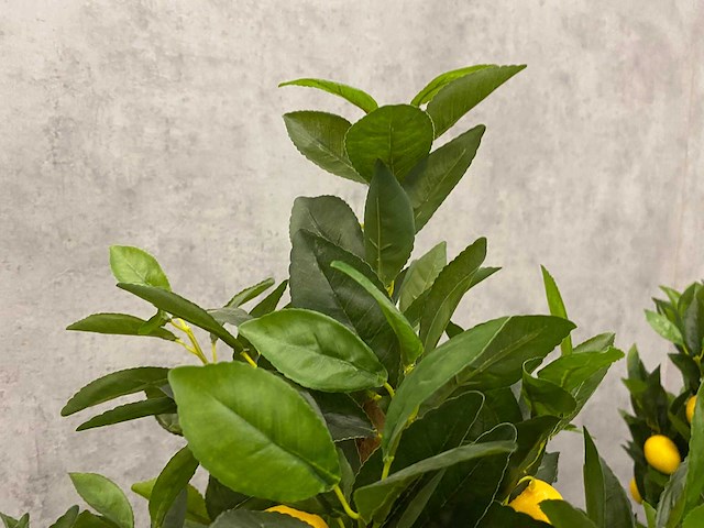 2x kunst citroenboom - ongebruikt - h145 - afbeelding 2 van  4