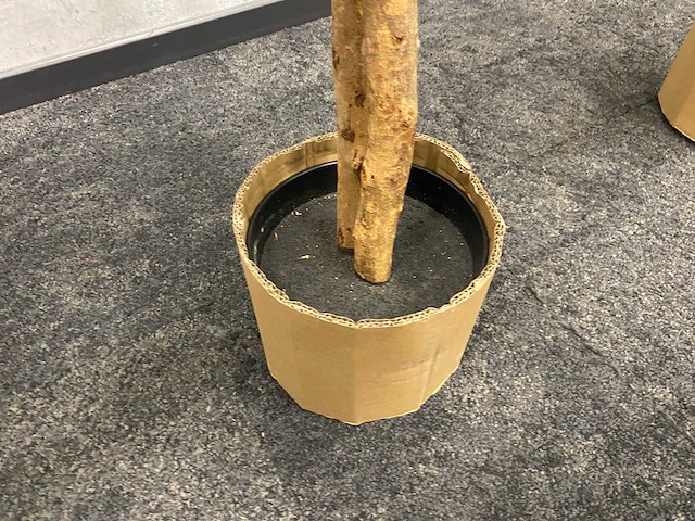 2x kunst citroenboom - ongebruikt - h145 - afbeelding 3 van  7