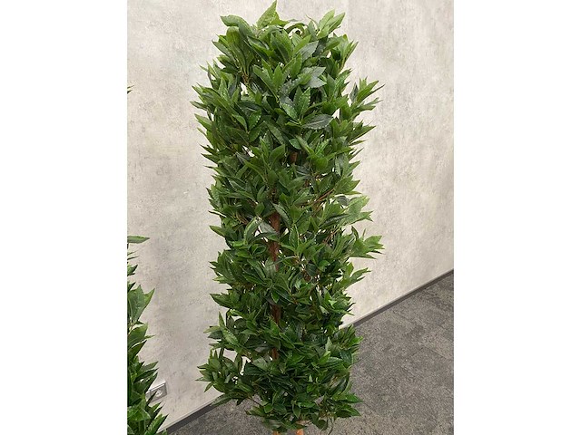 2x kunst laurier kolom h180 ongebruikt - afbeelding 3 van  17