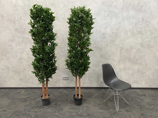 2x kunst laurier kolom h180 ongebruikt - afbeelding 1 van  16