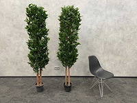 2x kunst laurier kolom h180 ongebruikt - afbeelding 1 van  16
