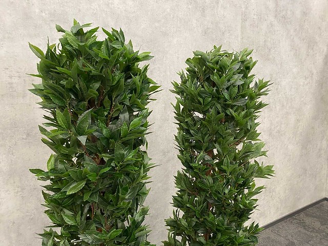 2x kunst laurier kolom h180 ongebruikt - afbeelding 3 van  7