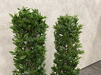2x kunst laurier kolom h180 ongebruikt - afbeelding 2 van  8