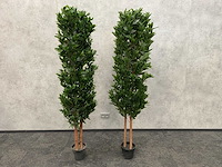 2x kunst laurier kolom h180 ongebruikt - afbeelding 10 van  17