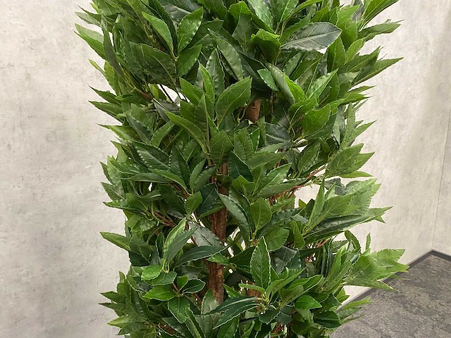 2x kunst laurier kolom h180 ongebruikt - afbeelding 4 van  13